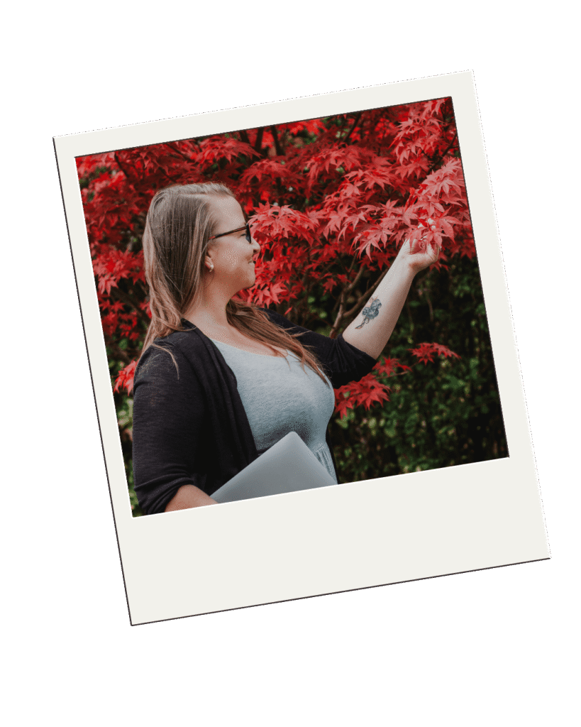 Oferta Iwona Wysocka